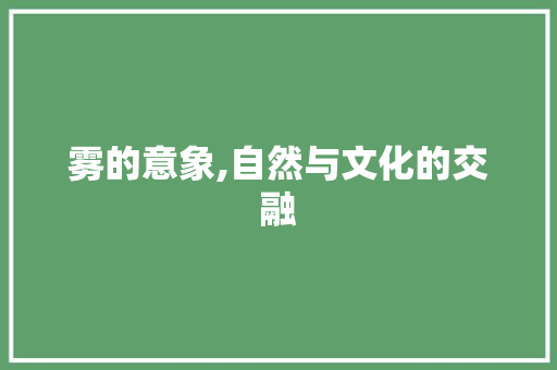 雾的意象,自然与文化的交融 写作技巧