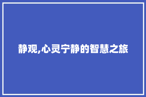 静观,心灵宁静的智慧之旅 写作技巧