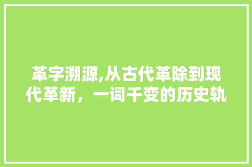 革字溯源,从古代革除到现代革新，一词千变的历史轨迹
