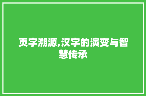 页字溯源,汉字的演变与智慧传承 范文赏析