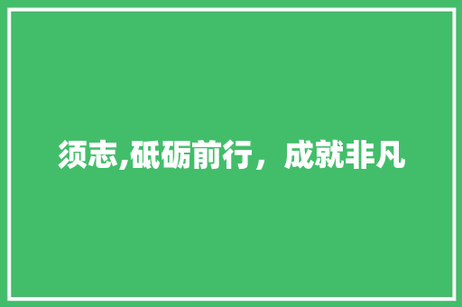 须志,砥砺前行，成就非凡