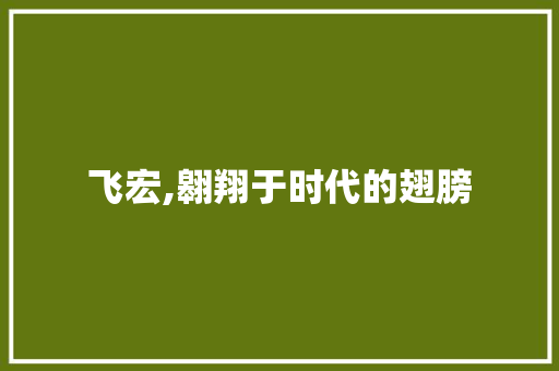 飞宏,翱翔于时代的翅膀