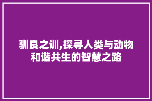 驯良之训,探寻人类与动物和谐共生的智慧之路