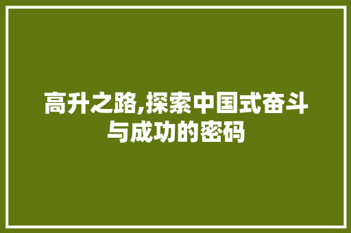 高升之路,探索中国式奋斗与成功的密码