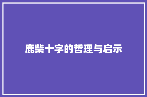 鹿柴十字的哲理与启示