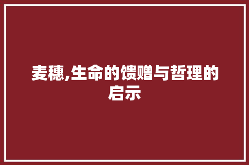麦穗,生命的馈赠与哲理的启示