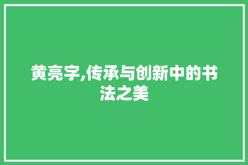 黄亮字,传承与创新中的书法之美