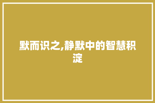 默而识之,静默中的智慧积淀 商业文案