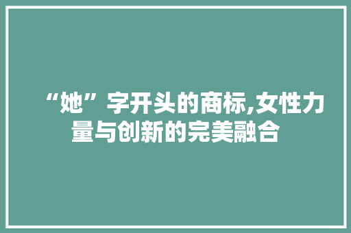 “她”字开头的商标,女性力量与创新的完美融合