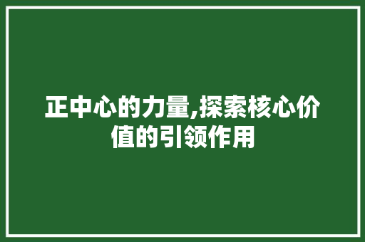 正中心的力量,探索核心价值的引领作用
