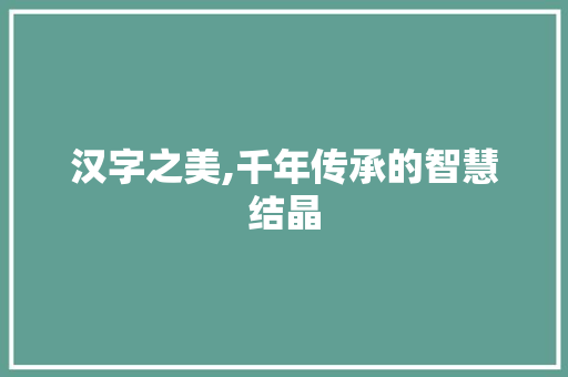 汉字之美,千年传承的智慧结晶