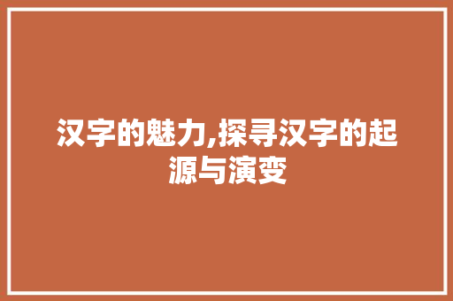 汉字的魅力,探寻汉字的起源与演变