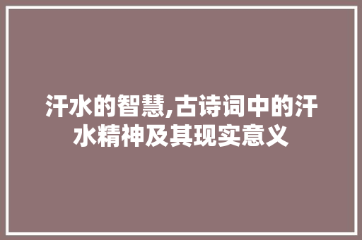 汗水的智慧,古诗词中的汗水精神及其现实意义