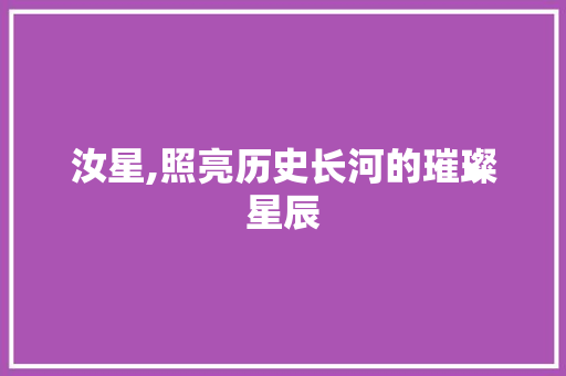 汝星,照亮历史长河的璀璨星辰