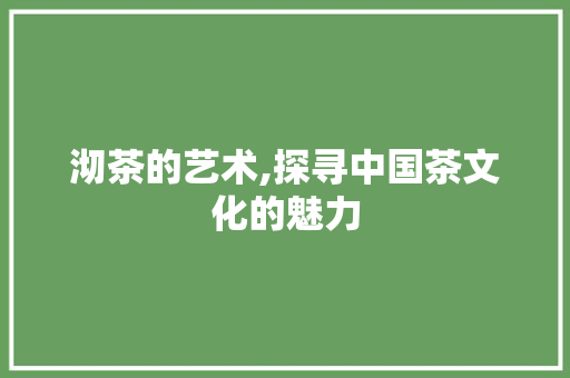 沏茶的艺术,探寻中国茶文化的魅力
