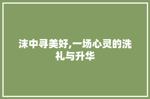 沫中寻美好,一场心灵的洗礼与升华