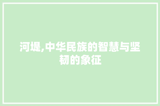 河堤,中华民族的智慧与坚韧的象征