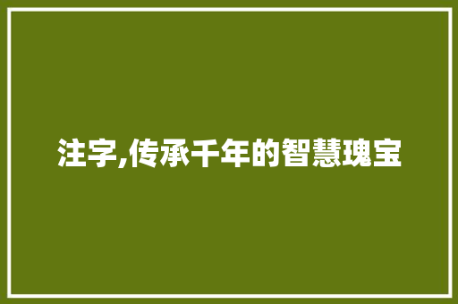 注字,传承千年的智慧瑰宝