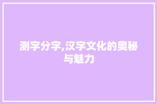 测字分字,汉字文化的奥秘与魅力