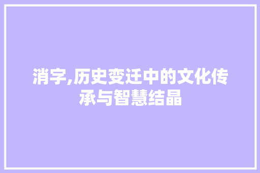消字,历史变迁中的文化传承与智慧结晶