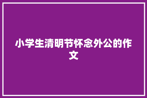 小学生清明节怀念外公的作文