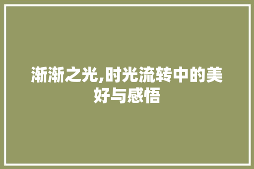 渐渐之光,时光流转中的美好与感悟