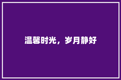 温馨时光，岁月静好 报告写作