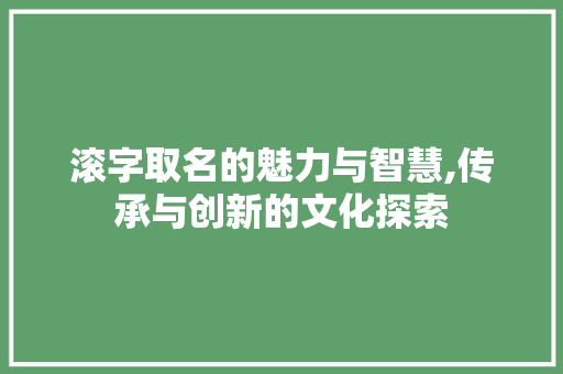 滚字取名的魅力与智慧,传承与创新的文化探索