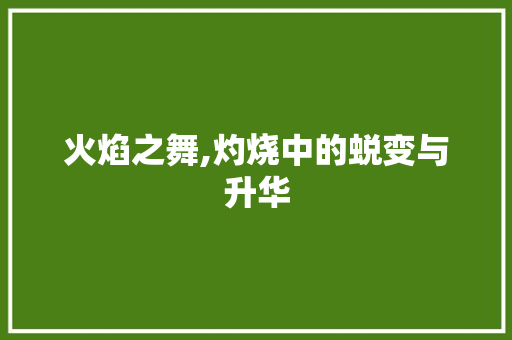 火焰之舞,灼烧中的蜕变与升华 简历模板