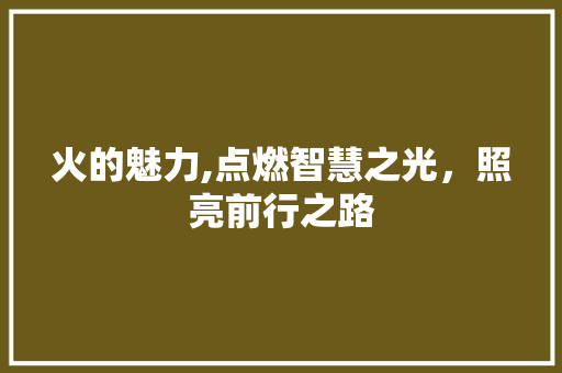 火的魅力,点燃智慧之光，照亮前行之路 商业文案