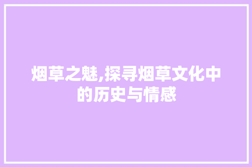 烟草之魅,探寻烟草文化中的历史与情感 范文赏析