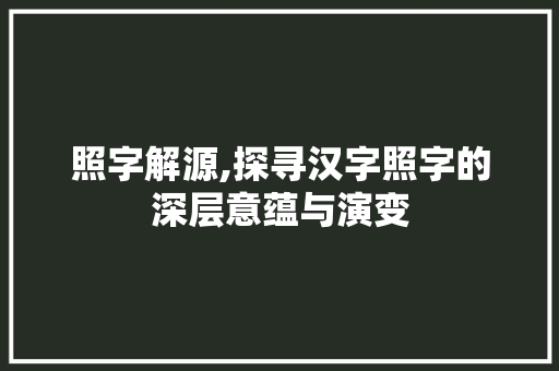 照字解源,探寻汉字照字的深层意蕴与演变 商业文案