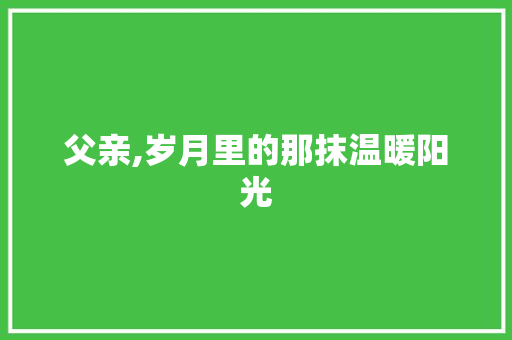 父亲,岁月里的那抹温暖阳光 诗歌创作