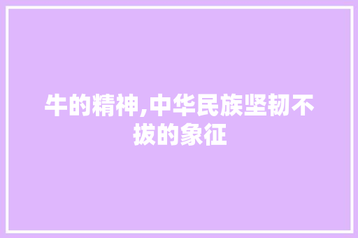 牛的精神,中华民族坚韧不拔的象征 商业文案