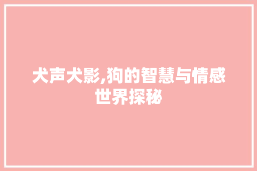 犬声犬影,狗的智慧与情感世界探秘