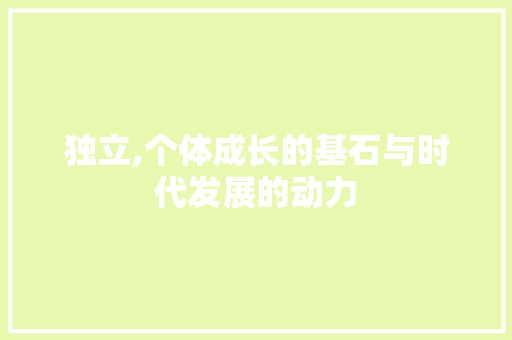 独立,个体成长的基石与时代发展的动力