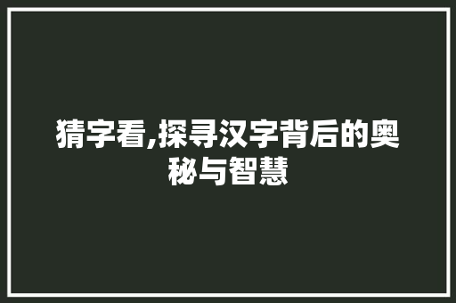 猜字看,探寻汉字背后的奥秘与智慧 简历模板