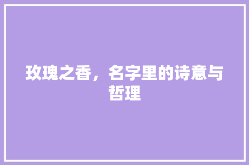 玫瑰之香，名字里的诗意与哲理 写作技巧