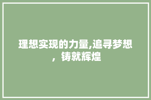 理想实现的力量,追寻梦想，铸就辉煌