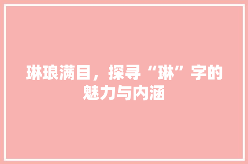 琳琅满目，探寻“琳”字的魅力与内涵 报告写作