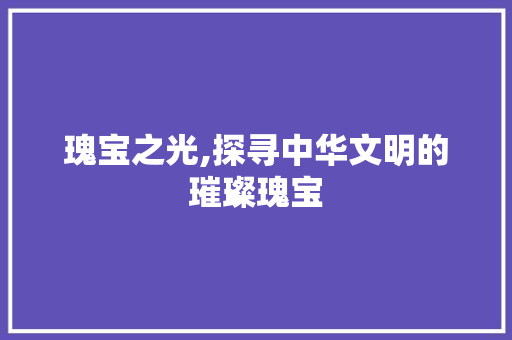 瑰宝之光,探寻中华文明的璀璨瑰宝