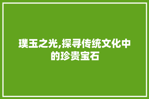 璞玉之光,探寻传统文化中的珍贵宝石