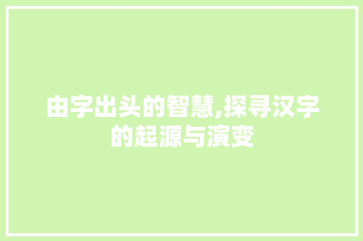 由字出头的智慧,探寻汉字的起源与演变
