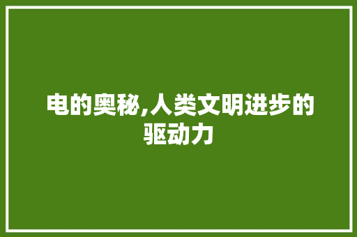 电的奥秘,人类文明进步的驱动力