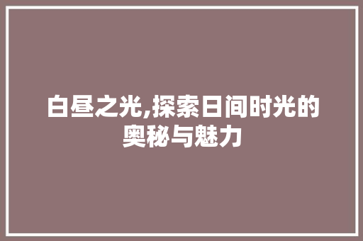 白昼之光,探索日间时光的奥秘与魅力