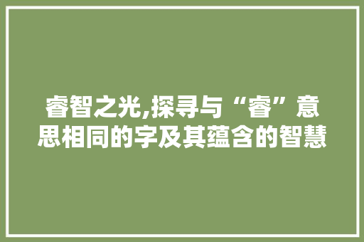 睿智之光,探寻与“睿”意思相同的字及其蕴含的智慧 商业文案