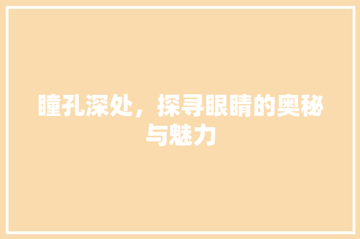 瞳孔深处，探寻眼睛的奥秘与魅力