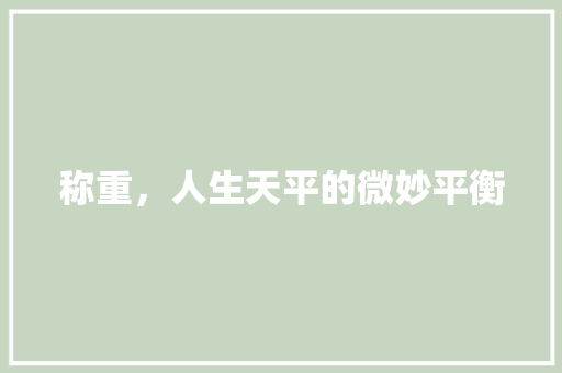 称重，人生天平的微妙平衡
