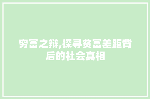穷富之辩,探寻贫富差距背后的社会真相