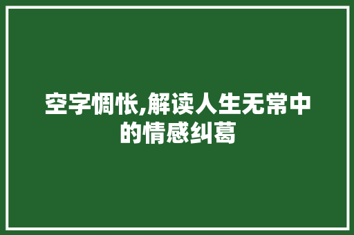 空字惆怅,解读人生无常中的情感纠葛